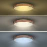 LED osvetlenie s diaľkovým ovládačom Iron Oak, 60W, 4200lm, 51cm, zmena chromatičnosti, stmievateľné